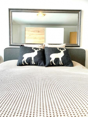 Holiday Apartment Gian - close to the Kongresshaus, the ice hockey stadium, cross-country skiing, the Eau-la-la indoor pool and wellness, large supermarket, 2 bus stops, with an indoor garage and full